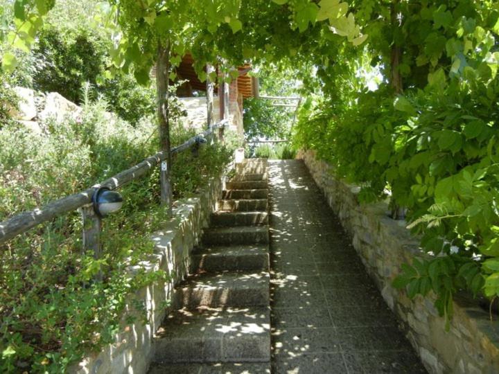 Fattoria Casa Sola ξενώνας Barberino di Val dʼElsa Εξωτερικό φωτογραφία