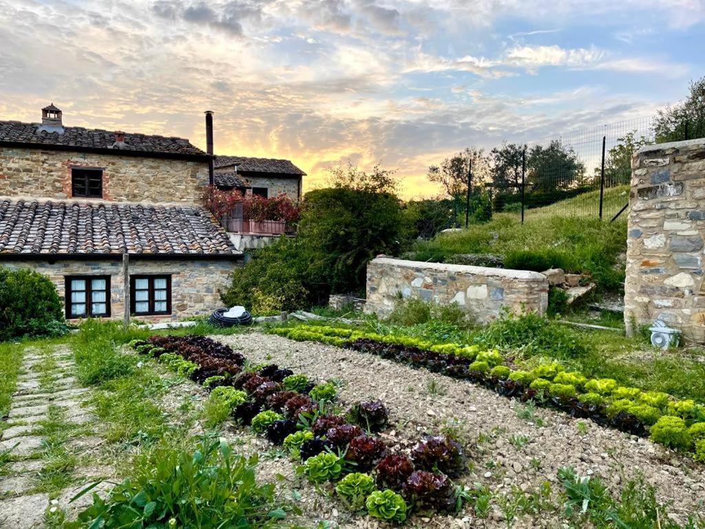 Fattoria Casa Sola ξενώνας Barberino di Val dʼElsa Εξωτερικό φωτογραφία